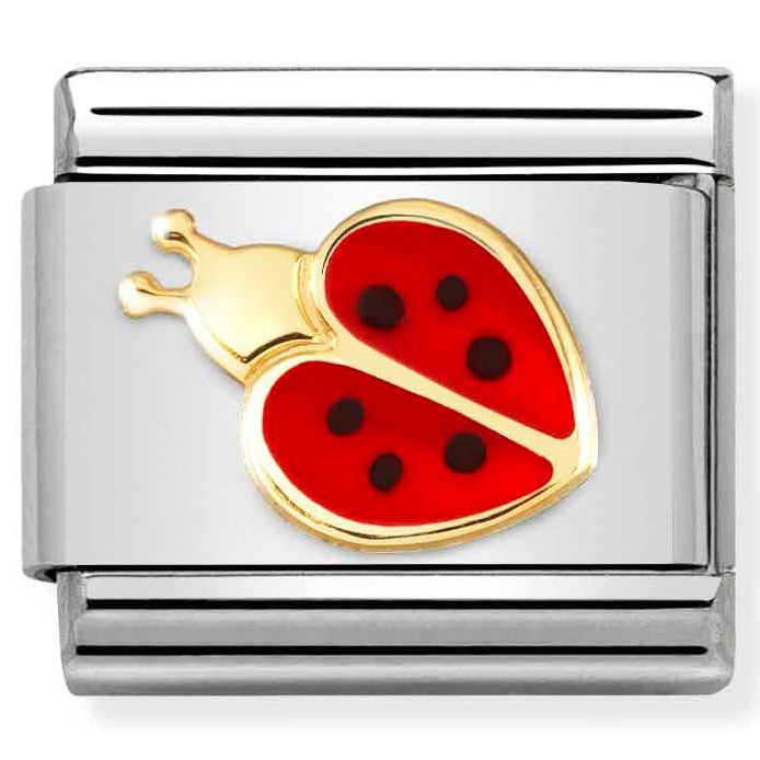 030272/69 Classic steel, enamel,18k gold Ladybird