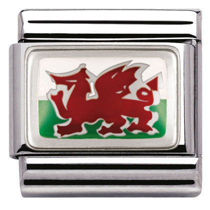 330207/02 Classic FLAGS,S/steel,enam.sterling silver wales