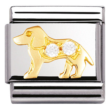 030305/21 Classic,S/Steel. Bonded Yellow gold,CZ, White Dog