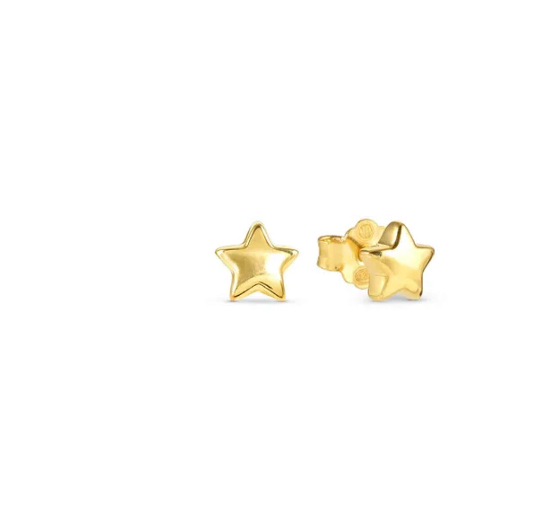 241307 009 ARMONICA EARRINGS, STAR