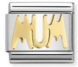 030107/14 Classic WRITING,S/Steel,bonded yellow gold MUM