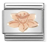 430104/23 Classic, S/steel,Bonded Rose Gold, Daffodil