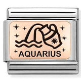 430112/11 Classic ZODIAC (IC) steel, rose gold. Aquarius