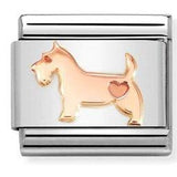 430104/49 Classic steel , 9 ct Rose gold Dog