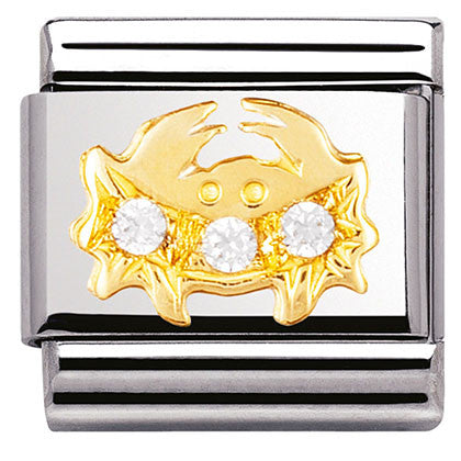 Classic ZODIAC S/Steel,Bonded Yellow Gold, CZ,  Cancer