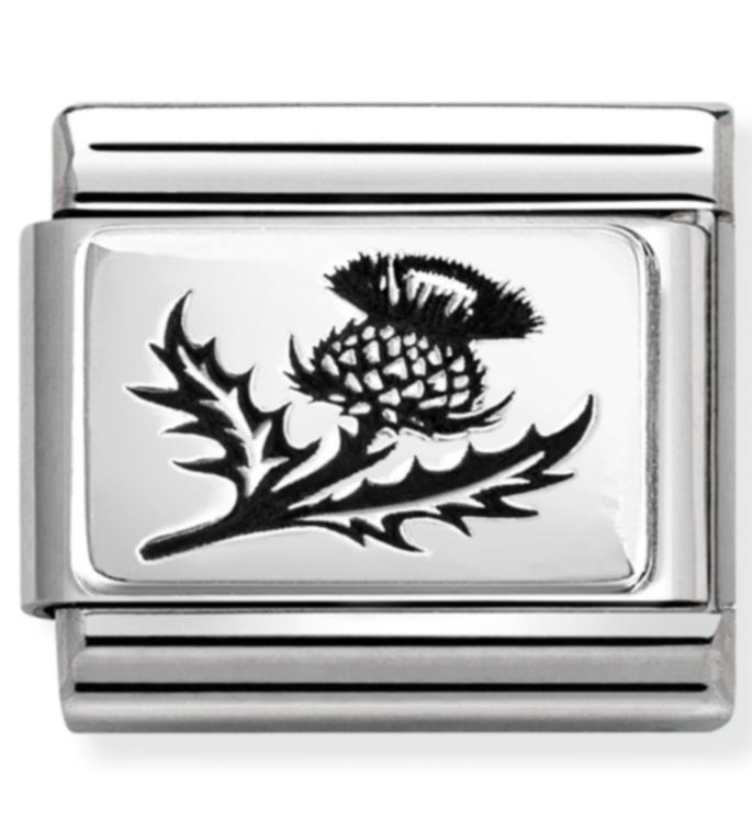 330111/54 Classic PLATES  steel and 925 silver Thistle Flower