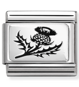 330111/54 Classic PLATES  steel and 925 silver Thistle Flower